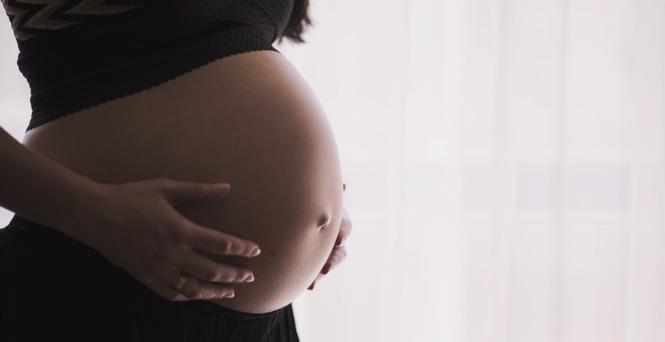 PLANO DE PROTEÇÃO A TRABALHADORAS GESTANTES E LACTANTES É LANÇADO NA CÂMARA
